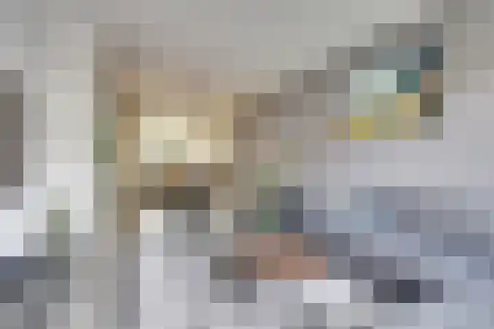 Slotstraat 69 Kruiningen thumbnail 7