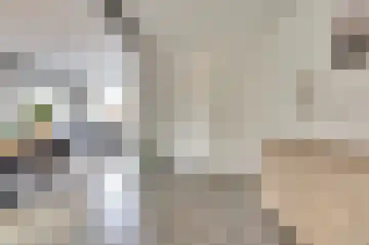 Slotstraat 69 Kruiningen thumbnail 8