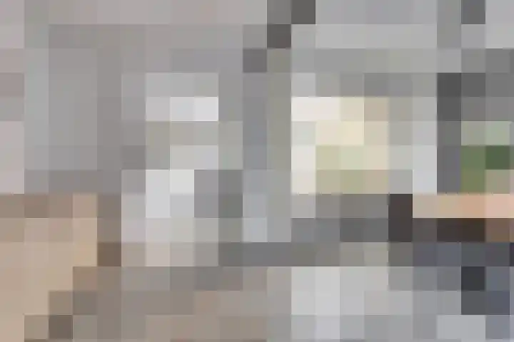 Slotstraat 69 Kruiningen thumbnail 9