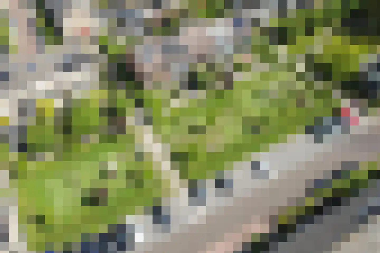 Slotstraat 7 Kapelle thumbnail 43