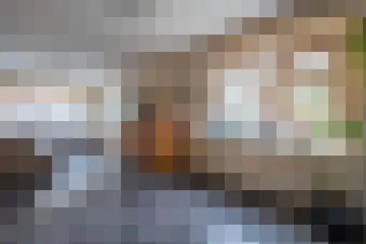 Slotstraat 8 Surhuisterveen thumbnail 7
