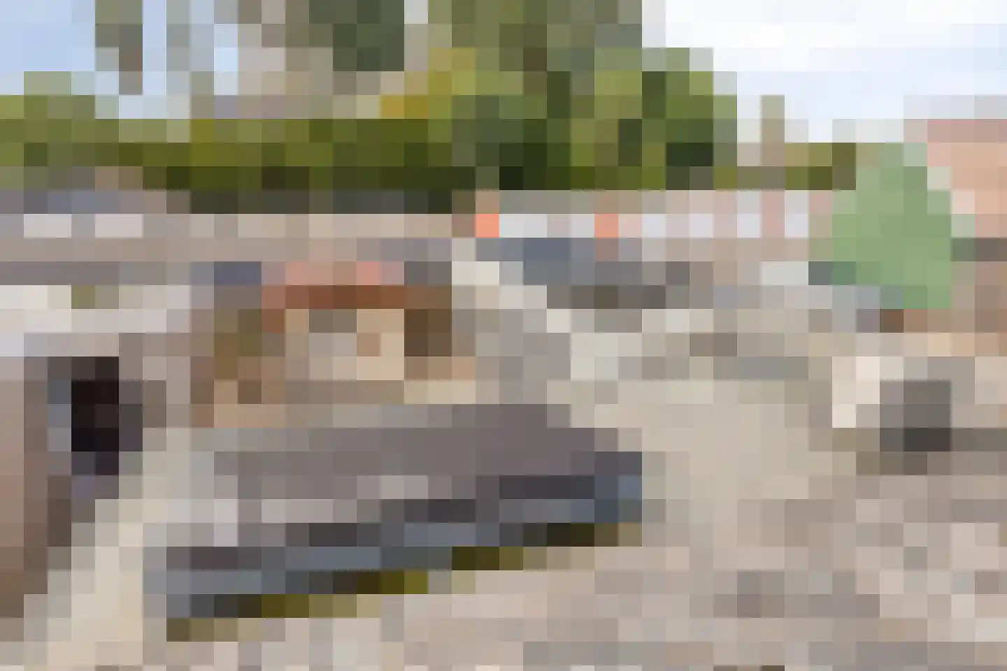 Slotstraat 88 Kruiningen thumbnail 27