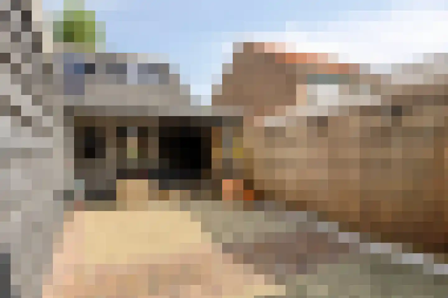 Slotstraat 88 Kruiningen thumbnail 31