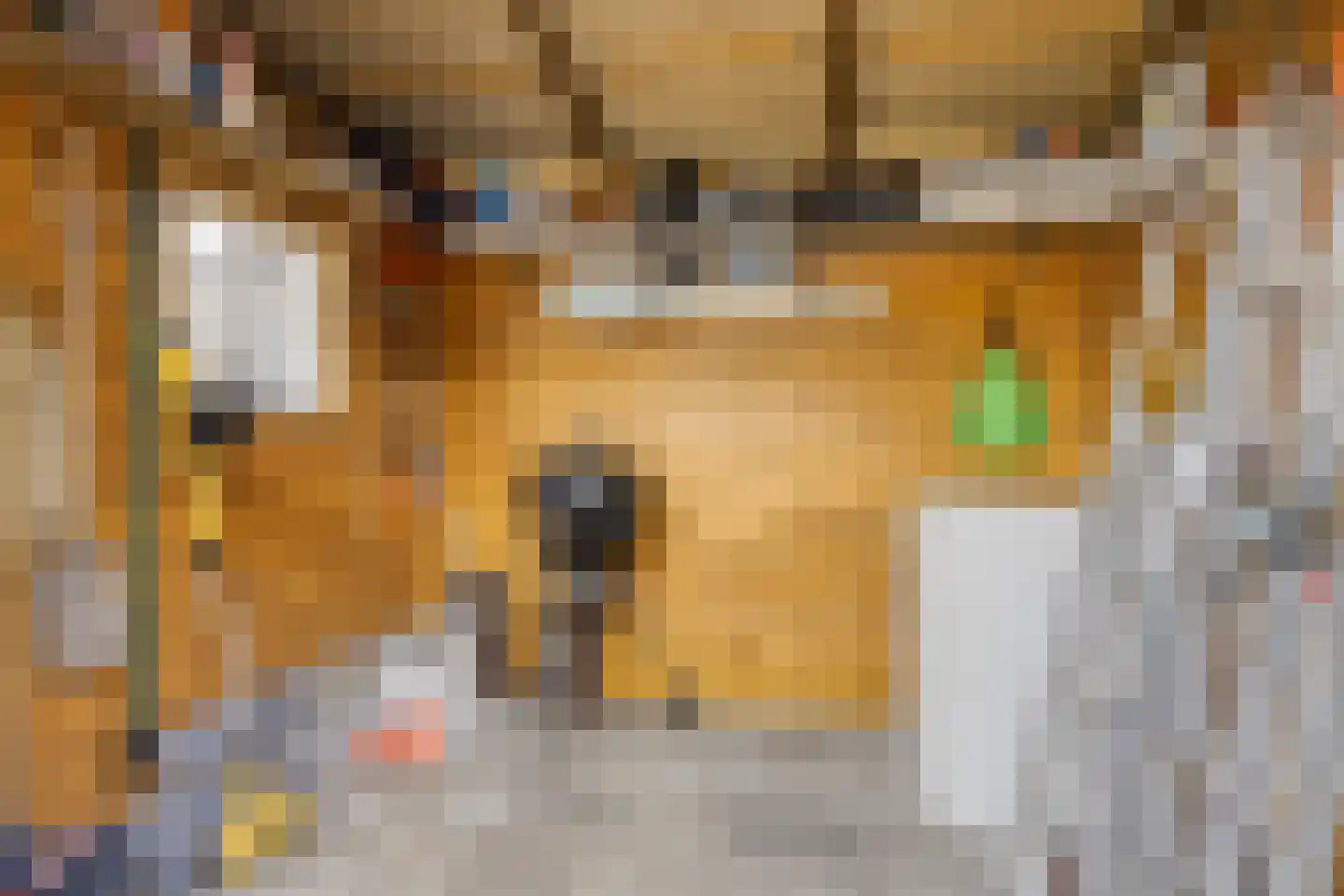 Slotstraat 88 Kruiningen thumbnail 34