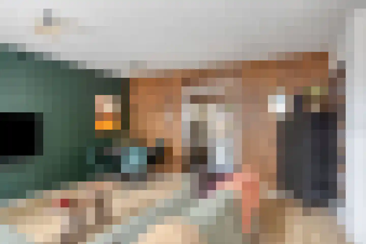 Slotstraat 88 Kruiningen thumbnail 7