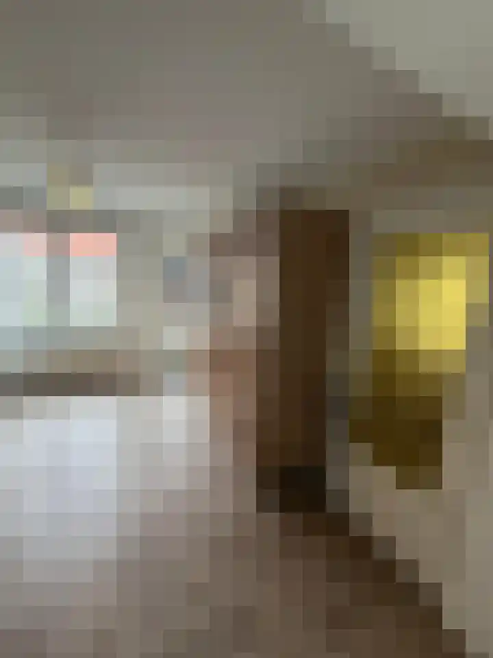 Slotstraat 94 Kruiningen thumbnail 16