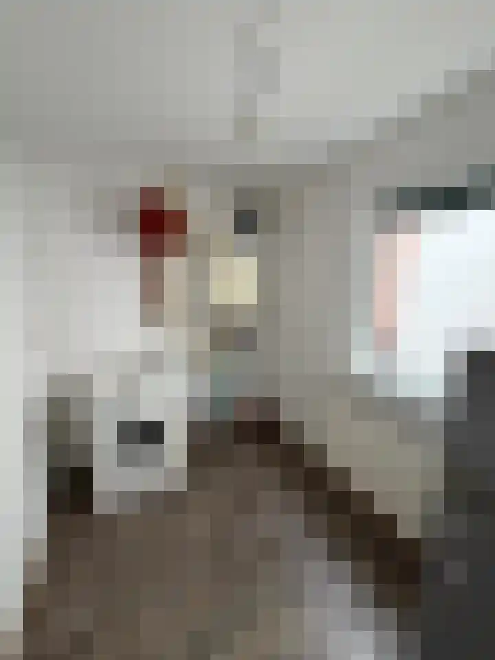 Slotstraat 94 Kruiningen thumbnail 20