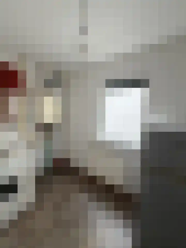 Slotstraat 94 Kruiningen thumbnail 21