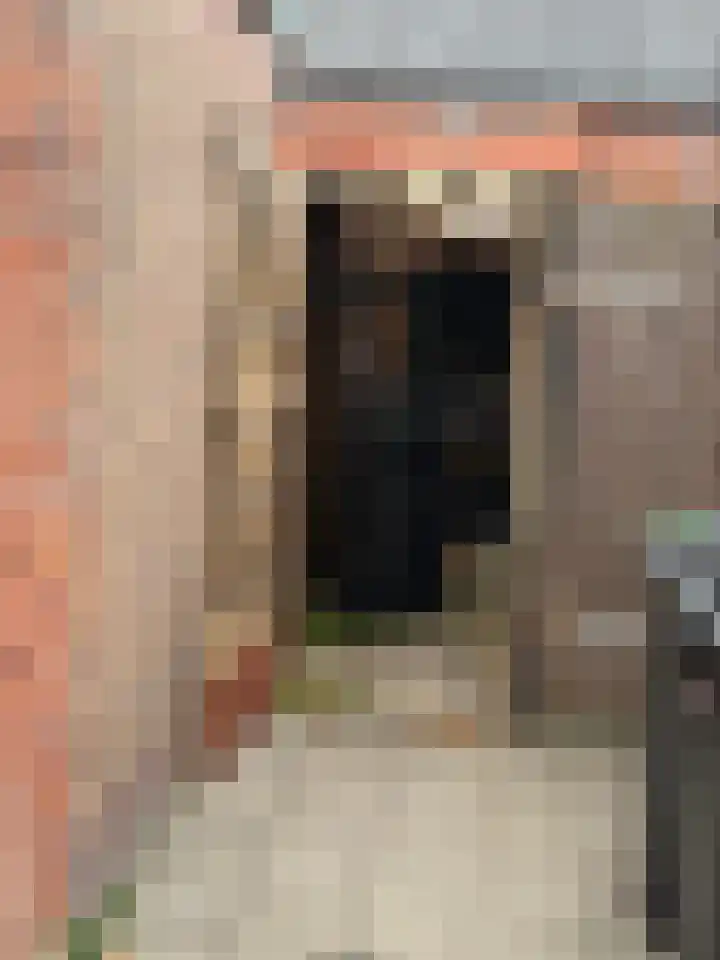 Slotstraat 94 Kruiningen thumbnail 31