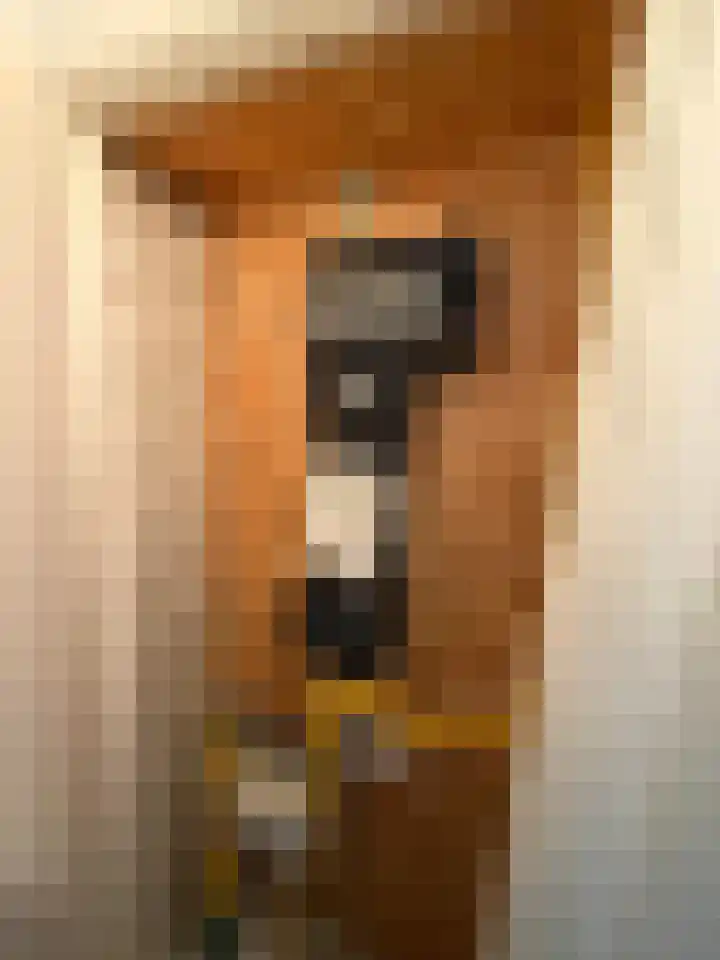 Slotstraat 94 Kruiningen thumbnail 8