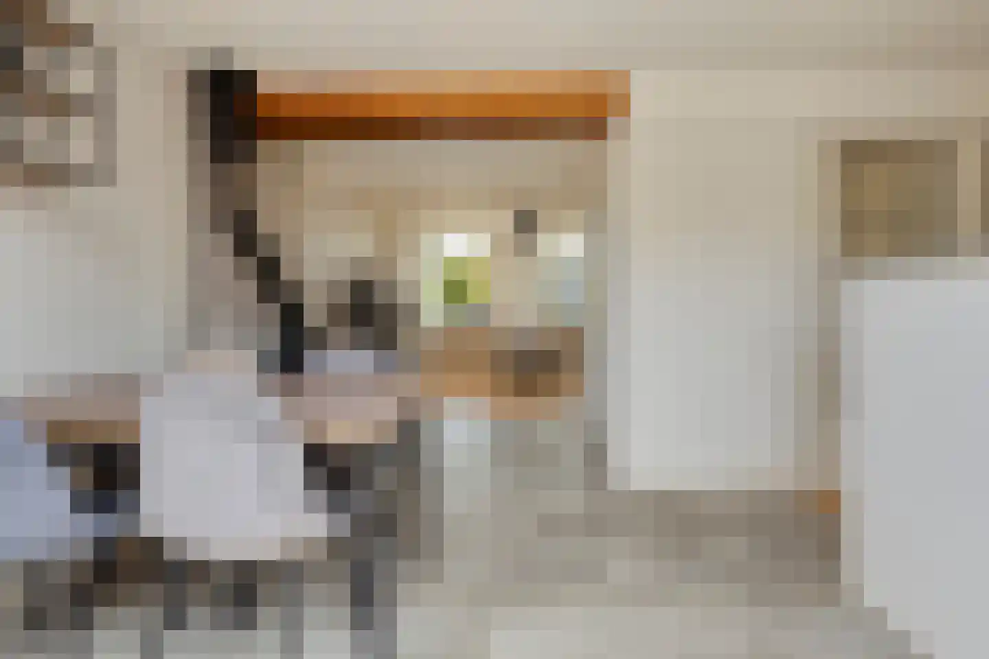 Slotstraat 96 Kruiningen thumbnail 6
