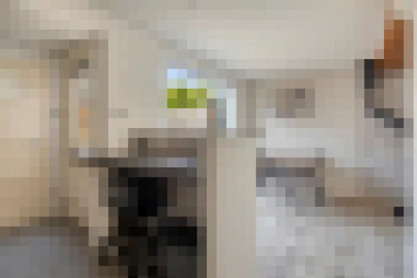 Slotstraat 96 Kruiningen thumbnail 7