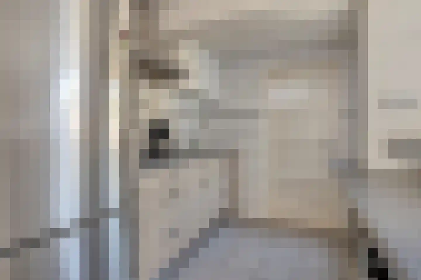 Slotstraat 96 Kruiningen thumbnail 8