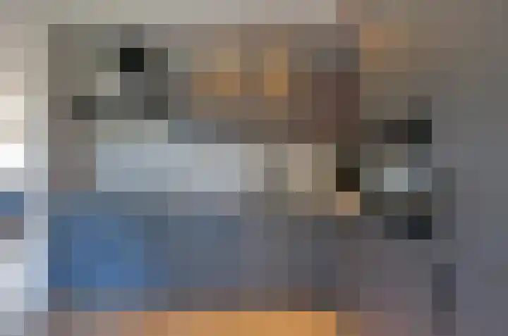 Slotstrjitte 18 Drogeham thumbnail 16