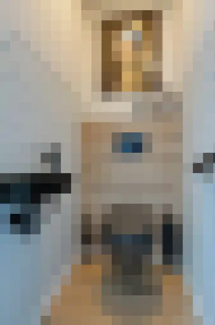 Slotstrjitte 18 Drogeham thumbnail 26