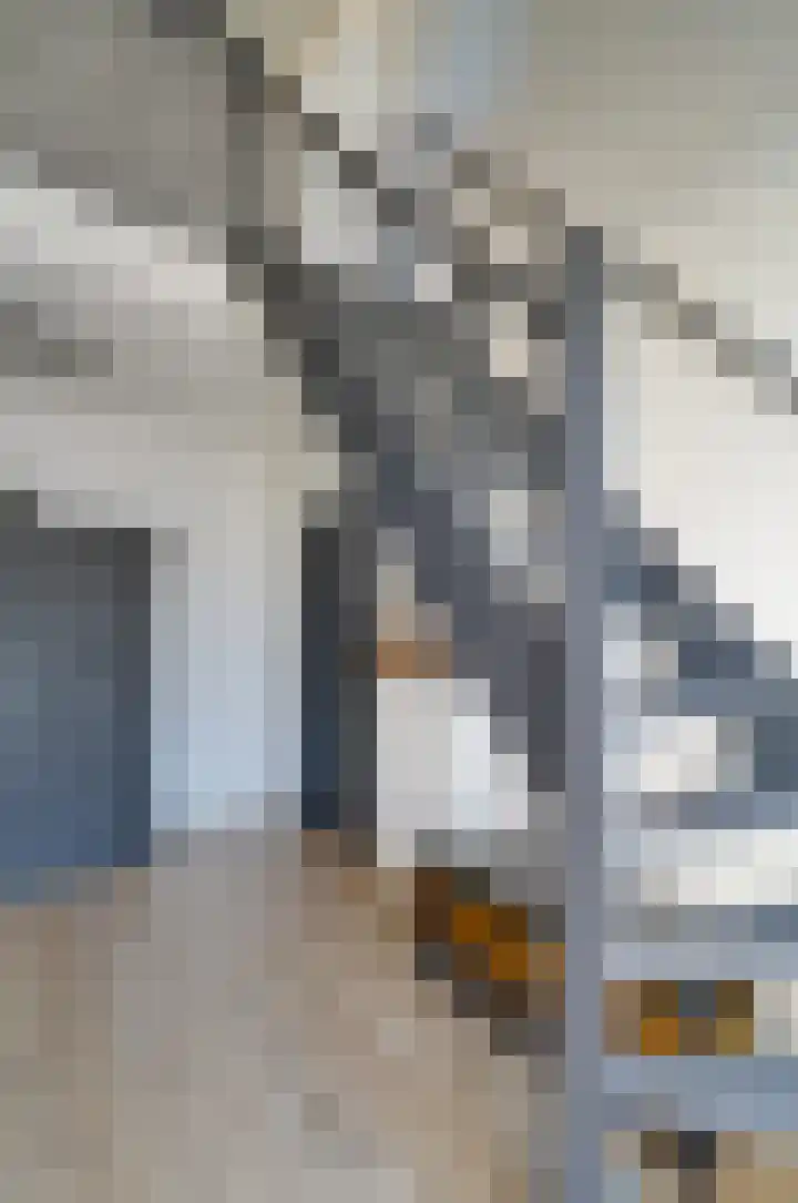 Slotstrjitte 18 Drogeham thumbnail 27