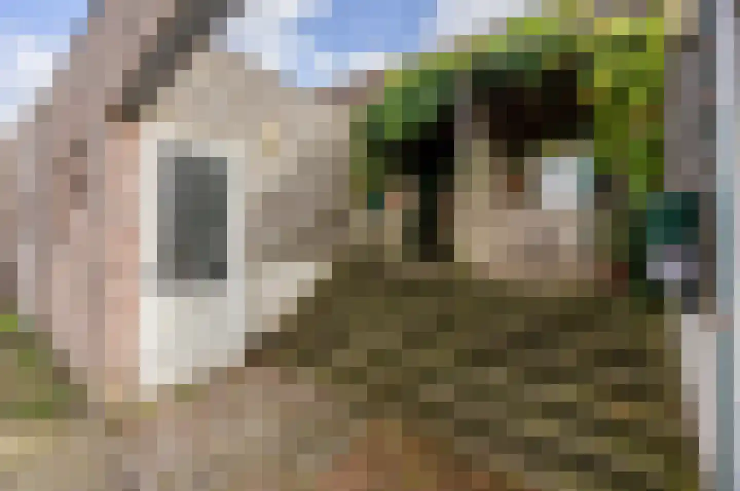 Slottuin 112 Beuningen Gld thumbnail 5