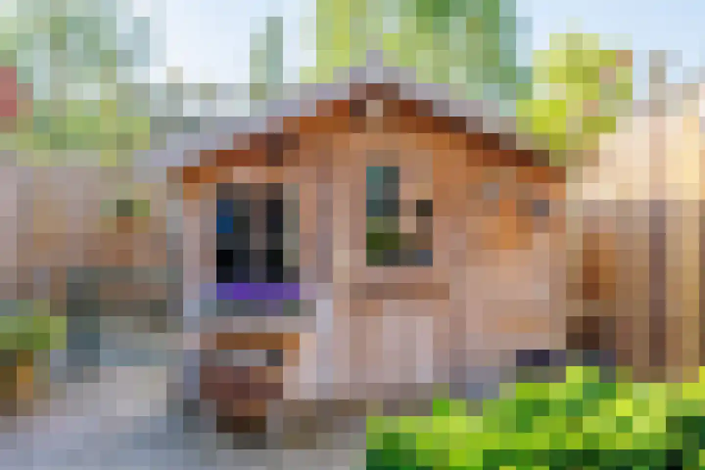 Slottuin 13 Beuningen Gld thumbnail 37