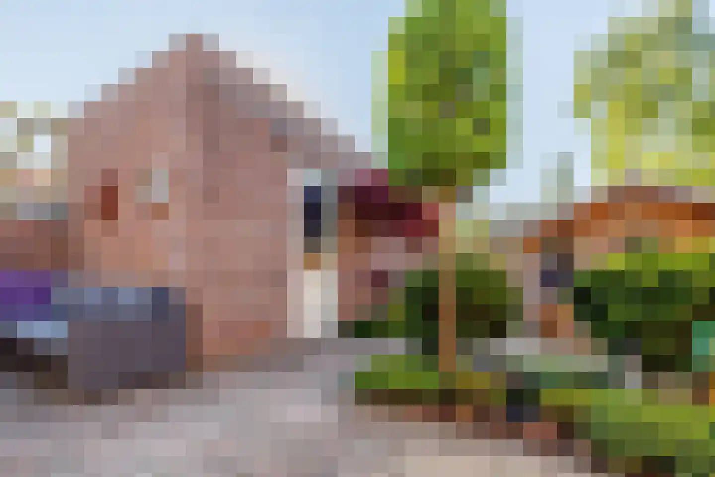 Slottuin 13 Beuningen Gld thumbnail 43
