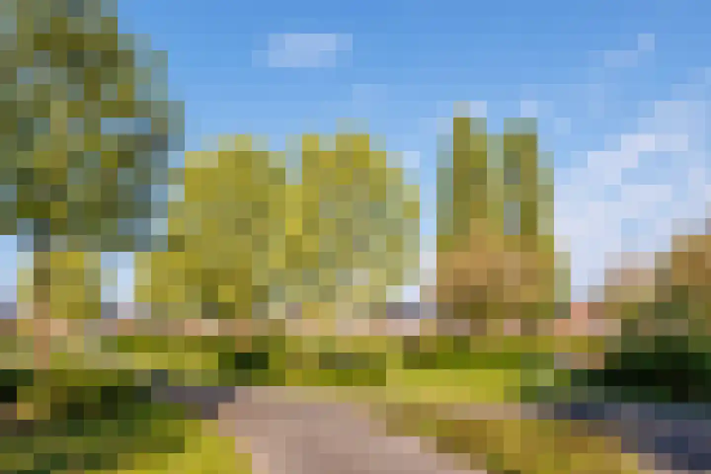 Slottuin 13 Beuningen Gld thumbnail 54