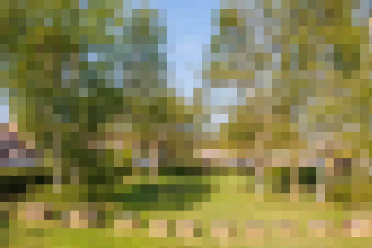 Slottuin 13 Beuningen Gld thumbnail 56