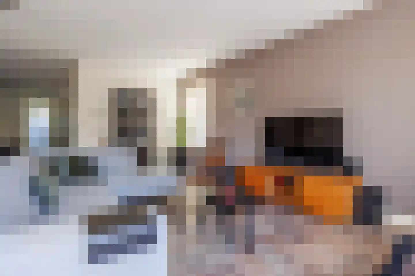 Slottuin 13 Beuningen Gld thumbnail 7