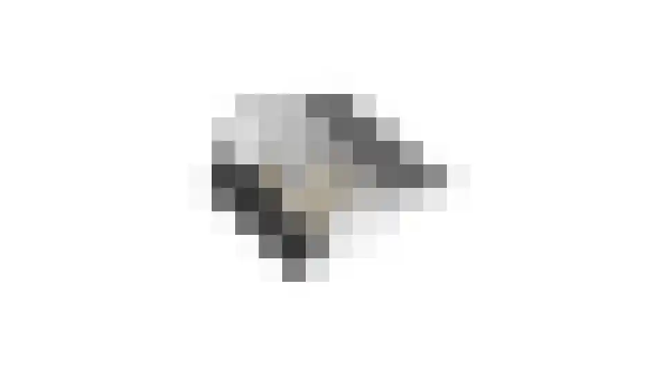 Slottuin 13 Beuningen Gld thumbnail 74