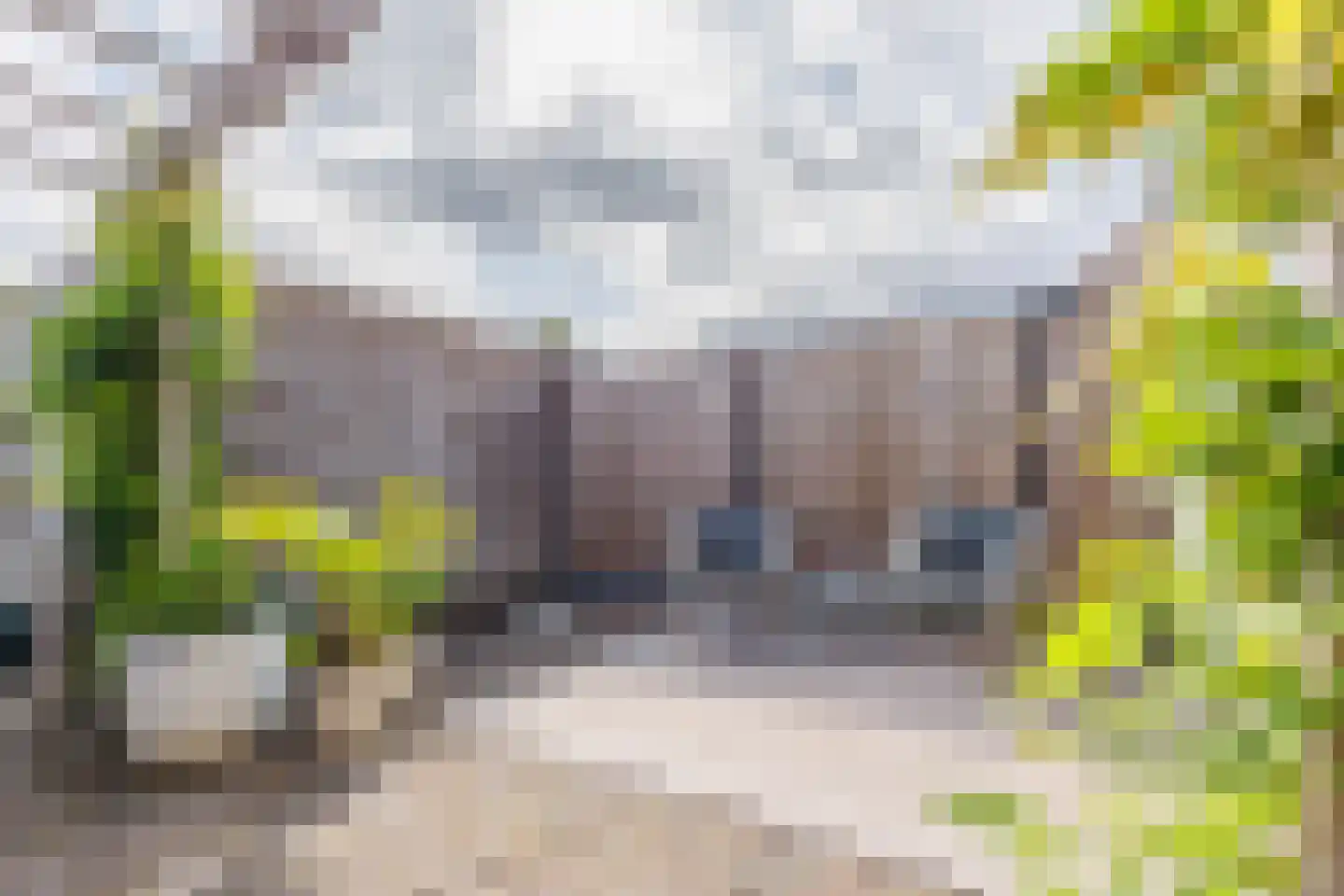 Slottuin 164 Beuningen Gld thumbnail 36