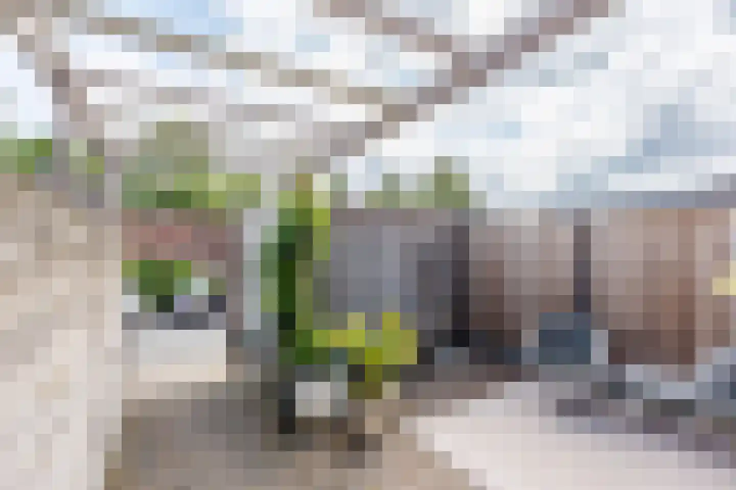 Slottuin 164 Beuningen Gld thumbnail 39