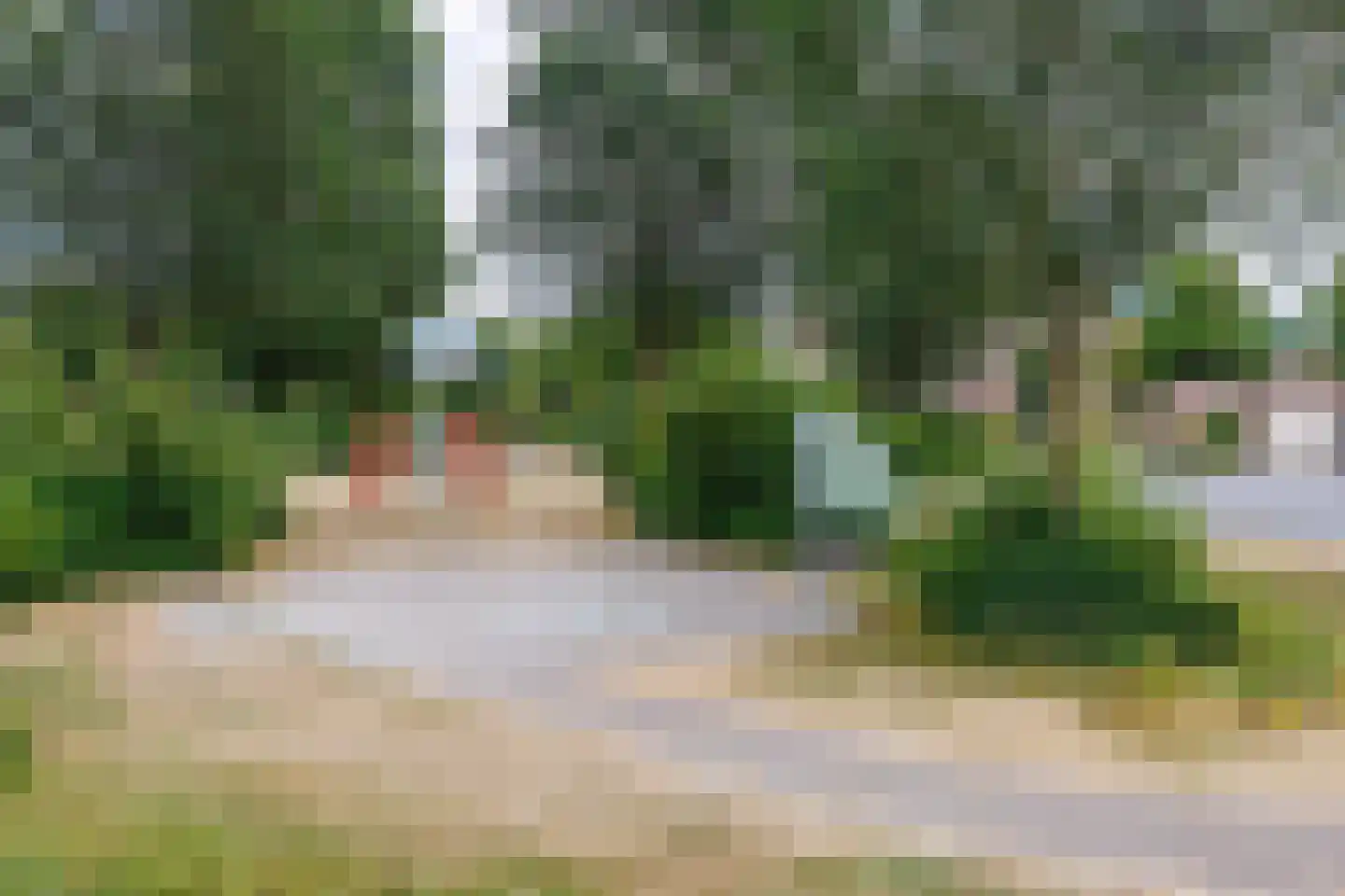 Slottuin 164 Beuningen Gld thumbnail 40