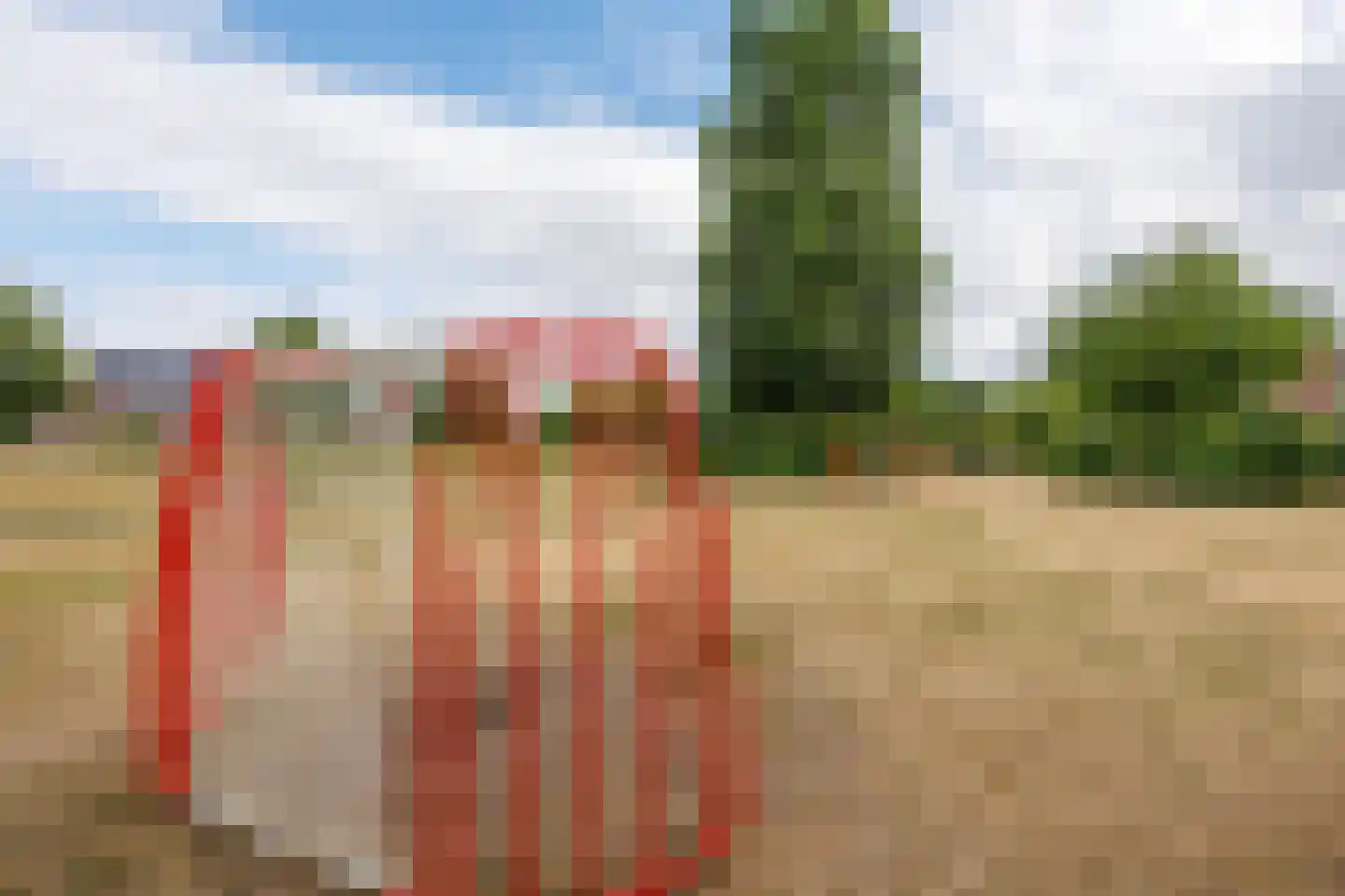 Slottuin 164 Beuningen Gld thumbnail 41