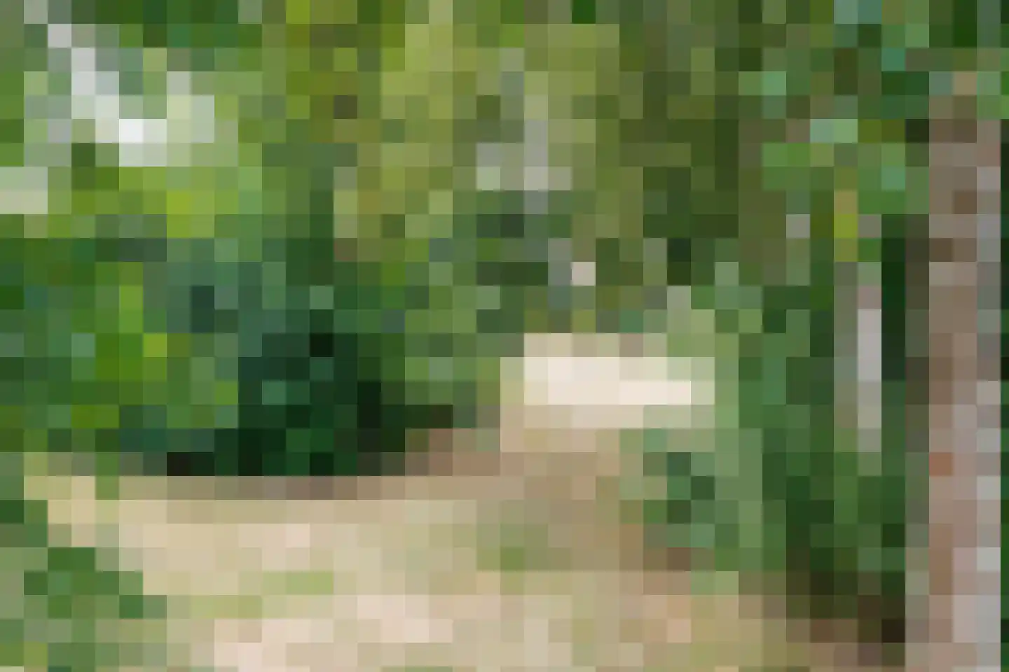 Slottuin 164 Beuningen Gld thumbnail 46