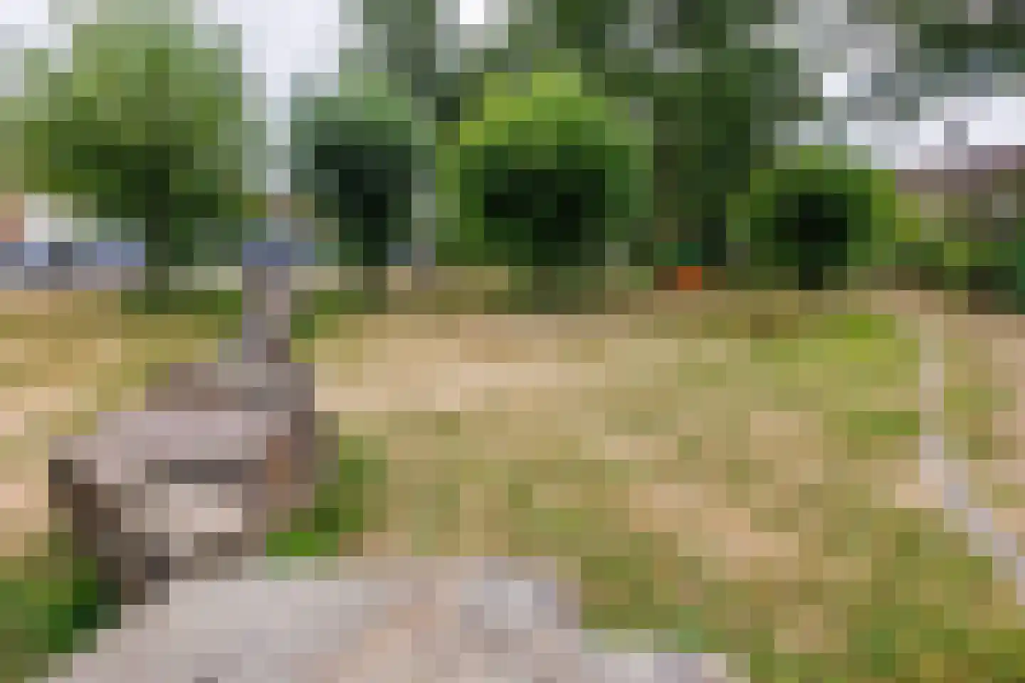 Slottuin 164 Beuningen Gld thumbnail 47