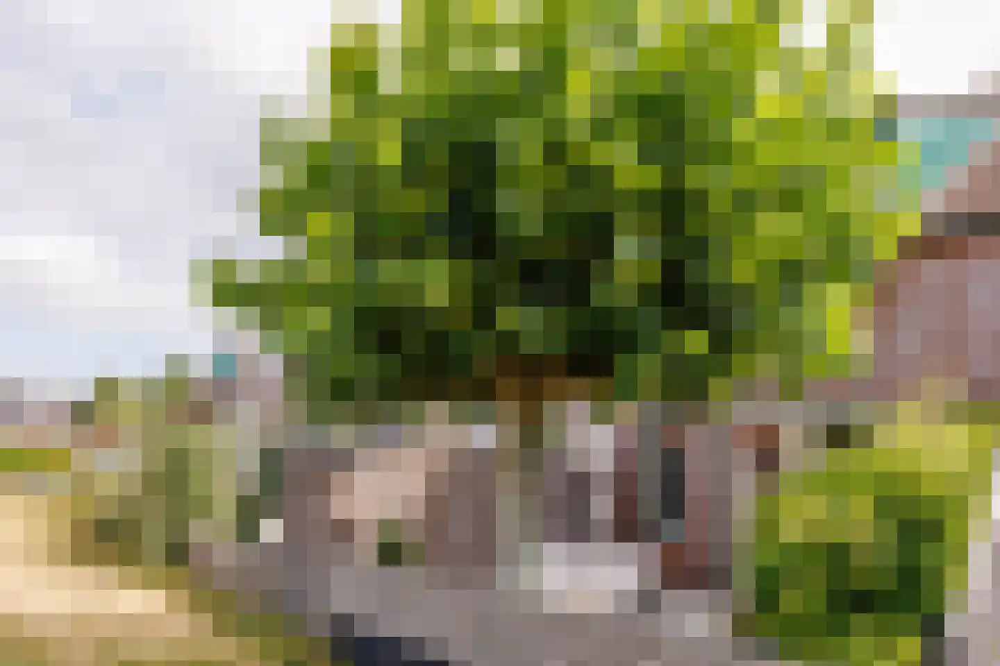 Slottuin 164 Beuningen Gld thumbnail 56