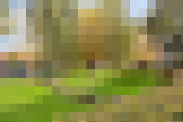 Slottuin 168 Beuningen Gld thumbnail 34