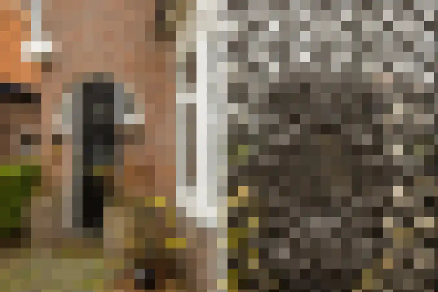 Slottuin 168 Beuningen Gld thumbnail 8