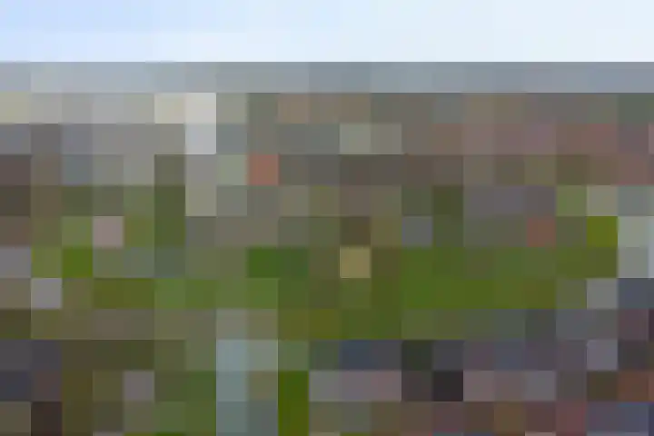 Slottuin 92 Beuningen Gld thumbnail 29