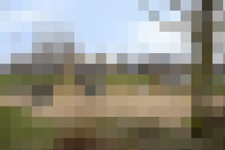 Slottuin 92 Beuningen Gld thumbnail 30