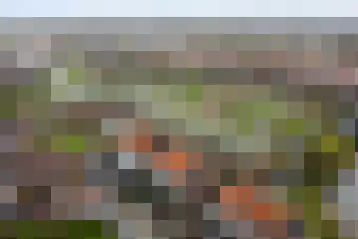 Slottuin 92 Beuningen Gld thumbnail 31