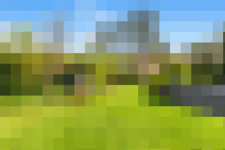 Slotweg 11 Egmond aan den Hoef thumbnail 22