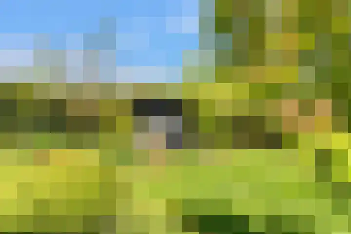 Slotweg 11 Egmond aan den Hoef thumbnail 23