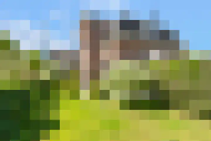 Slotweg 11 Egmond aan den Hoef thumbnail 34