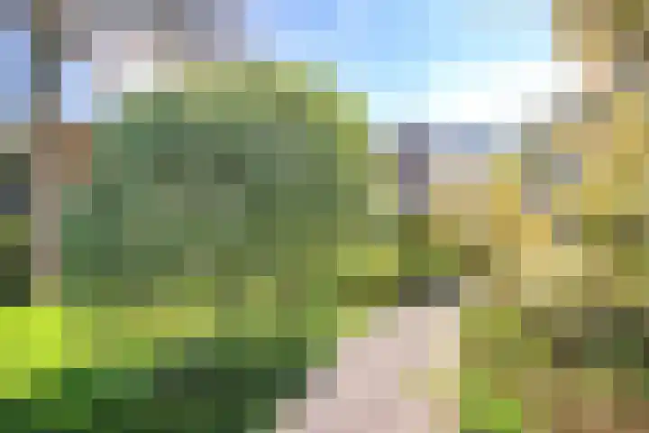 Slotweg 11 Egmond aan den Hoef thumbnail 35