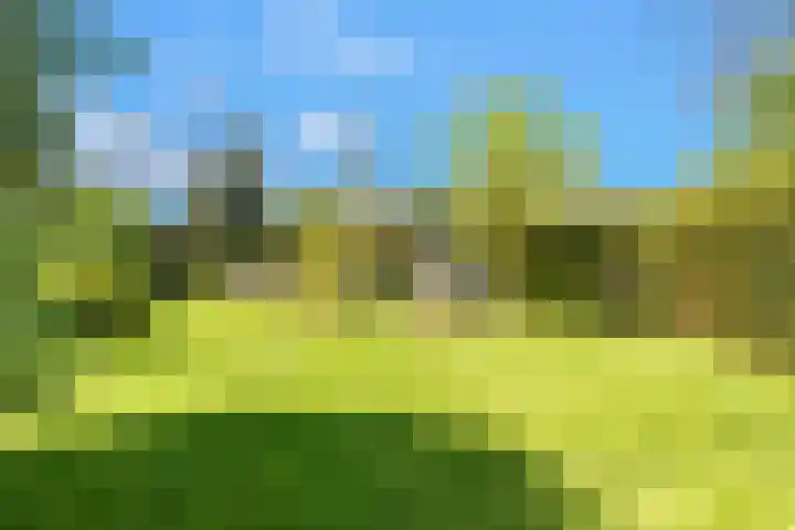 Slotweg 11 Egmond aan den Hoef thumbnail 36