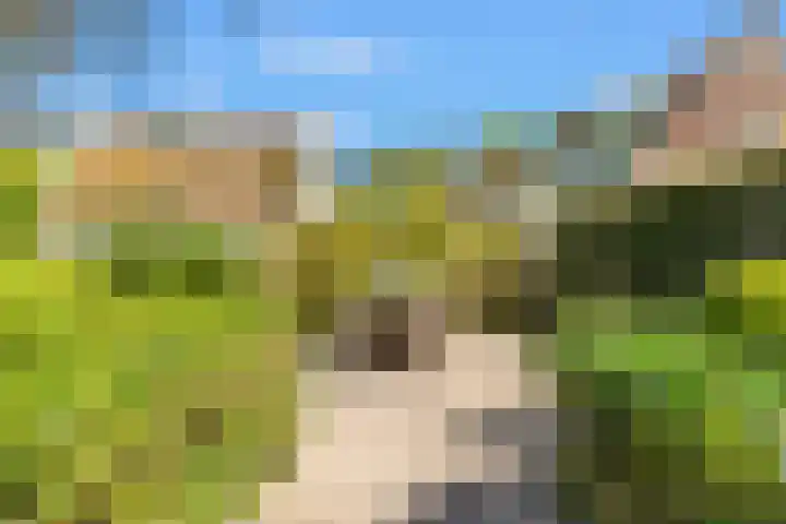 Slotweg 11 Egmond aan den Hoef thumbnail 37