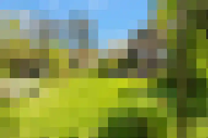 Slotweg 11 Egmond aan den Hoef thumbnail 38