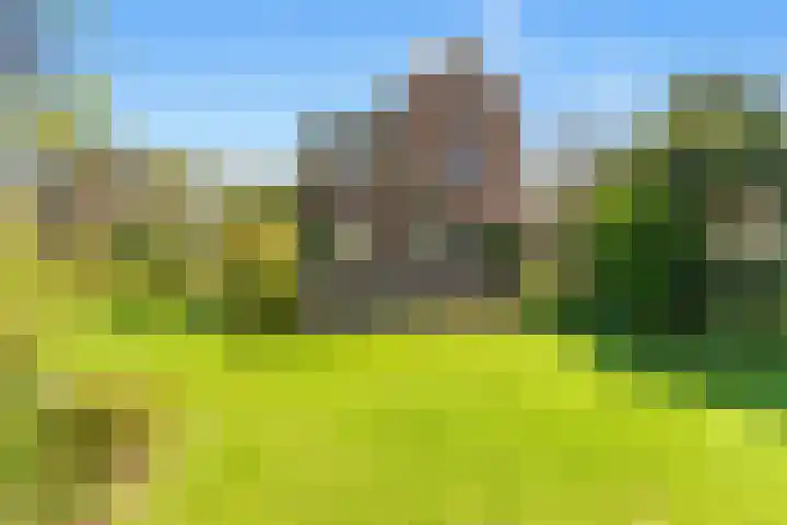 Slotweg 11 Egmond aan den Hoef thumbnail 39