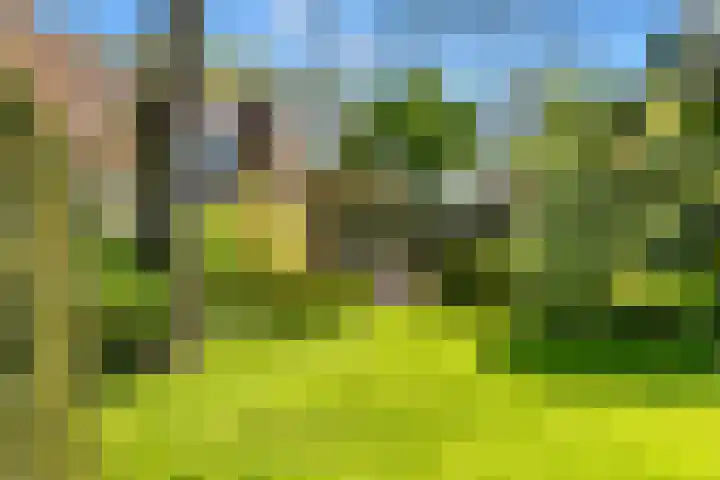 Slotweg 11 Egmond aan den Hoef thumbnail 41