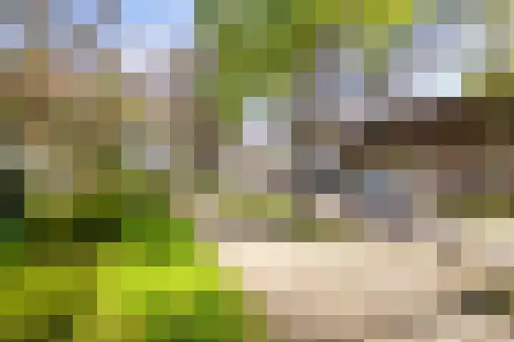 Slotweg 11 Egmond aan den Hoef thumbnail 44