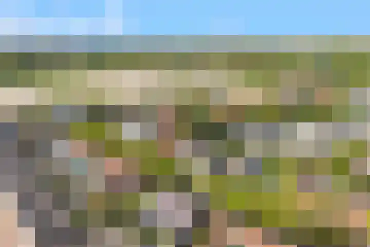 Slotweg 11 Egmond aan den Hoef thumbnail 48